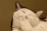 1611021115252940.jpg 微信圖片_20210119094424.jpg